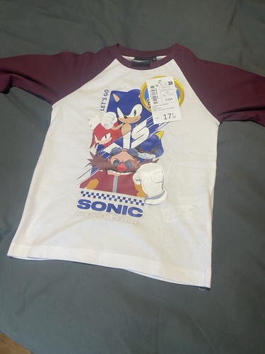 Sonic the hedgehog - hedgehog, long