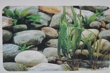 Aquarium Vivarium Rock