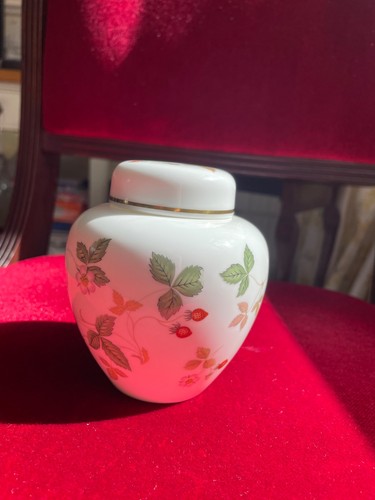 Wedgewood wild strawberry - strawberry, bone