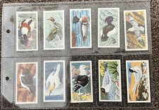 Brooke Bond Tea Cards 1957, BIRD PORTRAITS, Full Set, no address Good Condition 