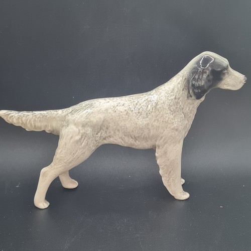 Branksome china english setter - branksome,
