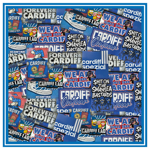 Cardiff city stickers - city, mixed