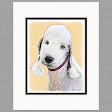 Bedlington terrier original - bedlington,