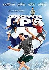 Grown Ups 2 (DVD, 2013) Region