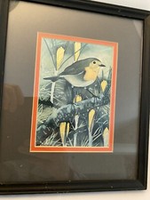 European Robin 1974 Natural