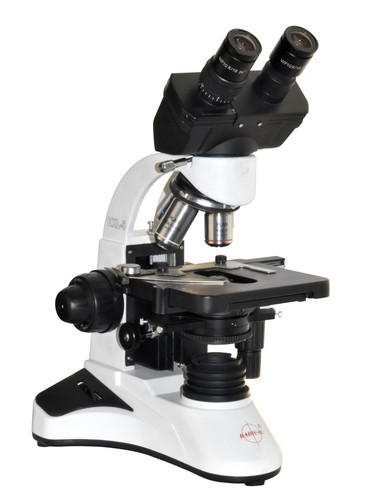 Medical biology phase - medical,