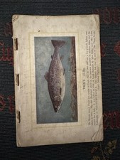 Vintage Fishing Trout Allcocks