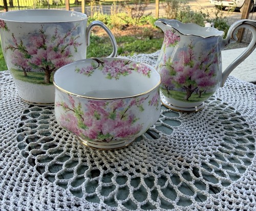 Vtg royal albert - vtg, “blossom