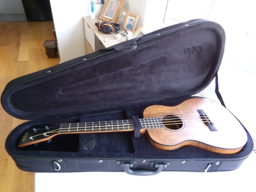 Kala electro acoustic - kala, electro-acoustic
