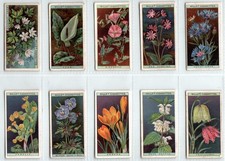 WILLS: Wild Flowers A 1923