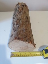 Apple Wood 11x35cm Dry