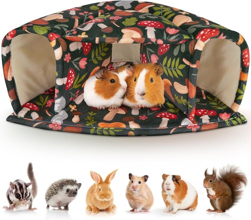 Unicorn catcher guinea pig - unicorn,