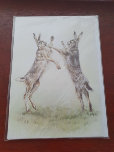 Boxing hares greetings - boxing,