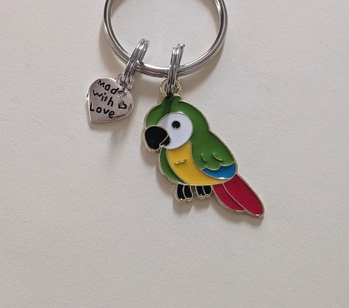 Beautiful little parrot - beautiful,
