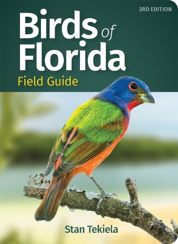 Birds florida field - field, guide