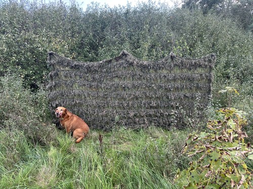 Large woodland green - large, camo