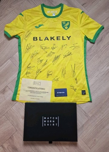 Norwich city signed team shirt - norwich,
