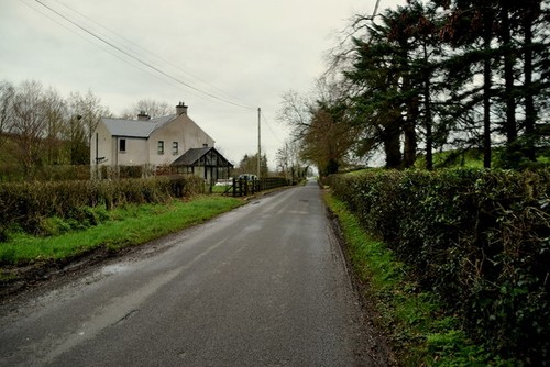 Photo 6x4 glenhoy road - 6x4,