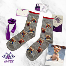 YORKSHIRE TERRIER SUPERHERO