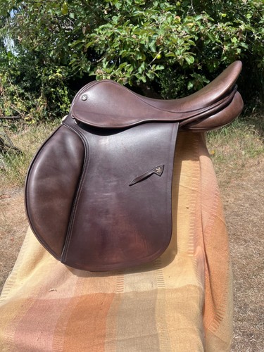 Saddle jeffries falcon adler - saddle,