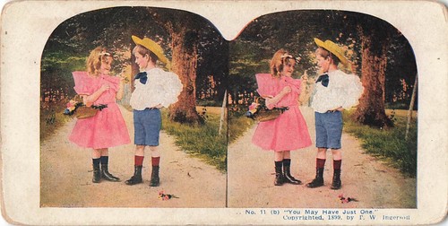 Stereoscopic view card no11 - view,