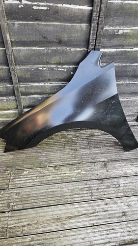 Wing fender panel front - wing,
