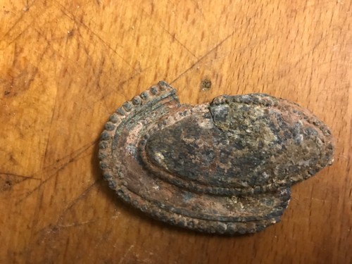 Unknown metal detecting - , find