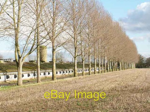 Photo 6x4 intensive poultry - intensive,
