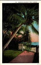 FL-Florida Bearing Cocoanut Tree, Yacht, White Picket Fence Vintage Postcard