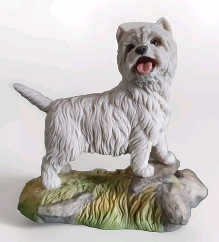 West highland terrier standing - west,
