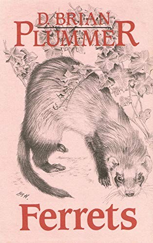 Ferrets plummer d brian - -, plummer,