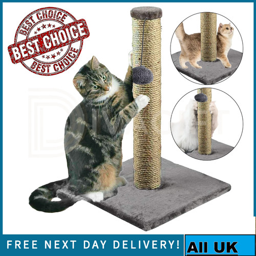 Cat scratching post - cat,