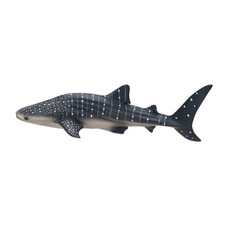 Mojo WHALE SHARK Wild zoo animals play model figure toys plastic sealife ocean