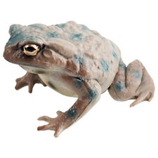 Toad Toy Figure | Realistic