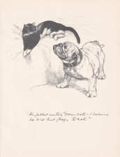 1936 BULLDOG & CAT Print - Antique - Vernon Stokes - Wall Art - 11 x 8.4 Inches