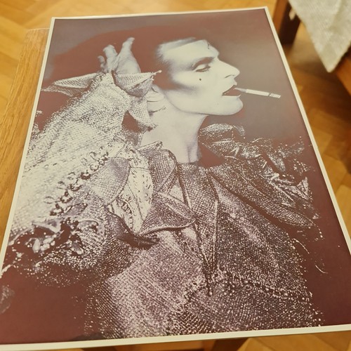 Bowie various laminate a4 - bowie,