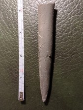 Fossil Belemnite, Jurassic, UK
