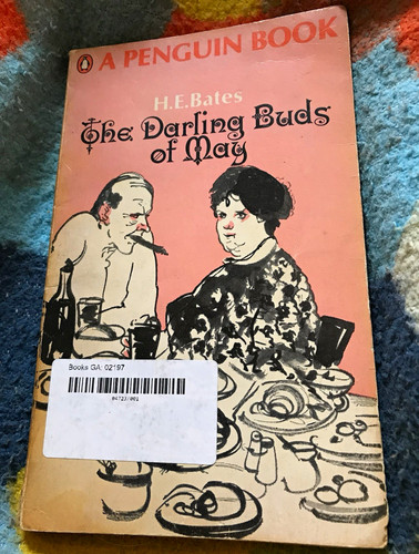 Penguin books the darling - books,