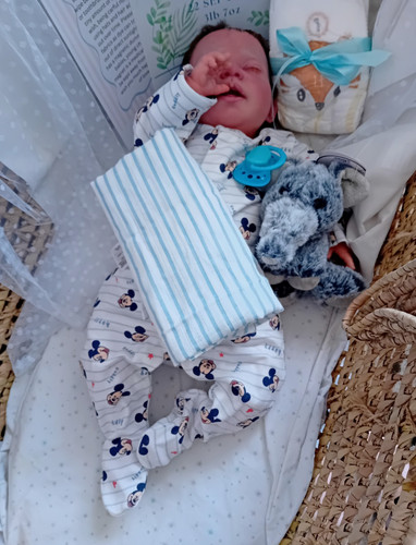 Reborn baby elsa - uk, artist