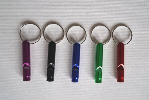 Whistle keyring - whistle,
