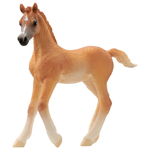 Schleich horse club arabian - schleich,