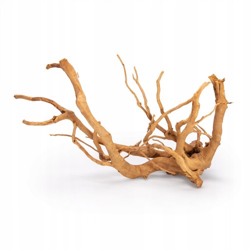 Fish tank driftwood aquarium - fish,