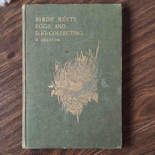 Birds nests eggs - birds',