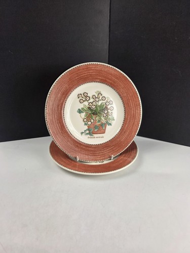 Wedgwood sarah garden - sarah's,