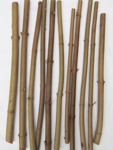 40cm natural sycamore - 40cm,