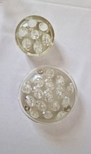 Pair Glass Vintage Flower