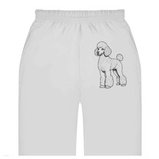 'Standard Poodle' Adult