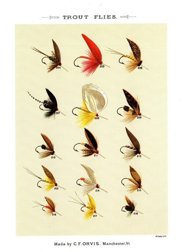 Vintage trout flies print - trout,