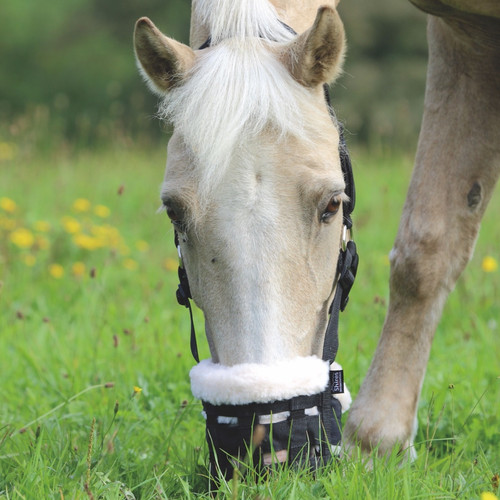 Shires horse deluxe comfort - horse,
