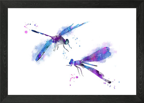 Dragonfly framed wall art - dragonfly,
